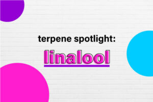 Terpene Spotlight: Linalool